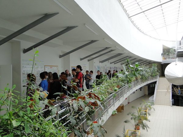 img00007.jpg